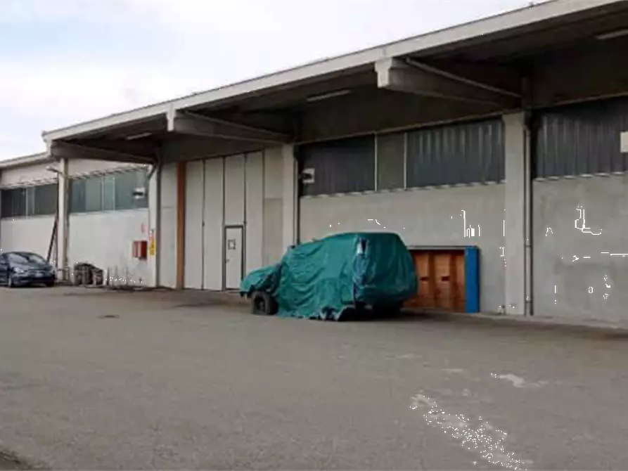 Immagine 2 di Capannone industriale in vendita  in Via Castelspina a Castellazzo Bormida