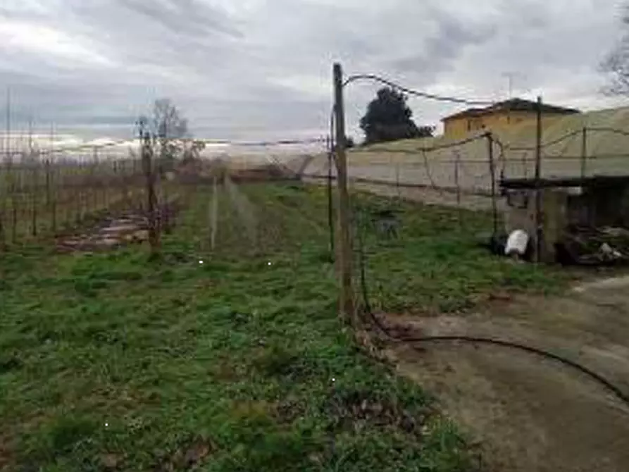 Immagine 7 di Casa indipendente in vendita  in Via Selva  a Badia Polesine