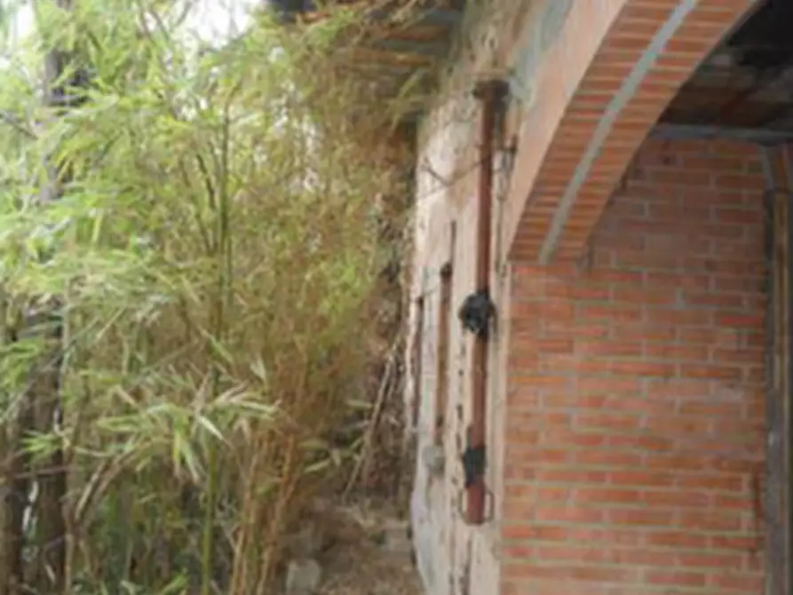 Immagine 3 di Casa indipendente in vendita  in Via Ongarie a Morgano