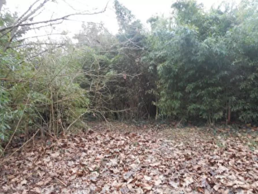 Immagine 6 di Casa indipendente in vendita  in Via Ongarie a Morgano