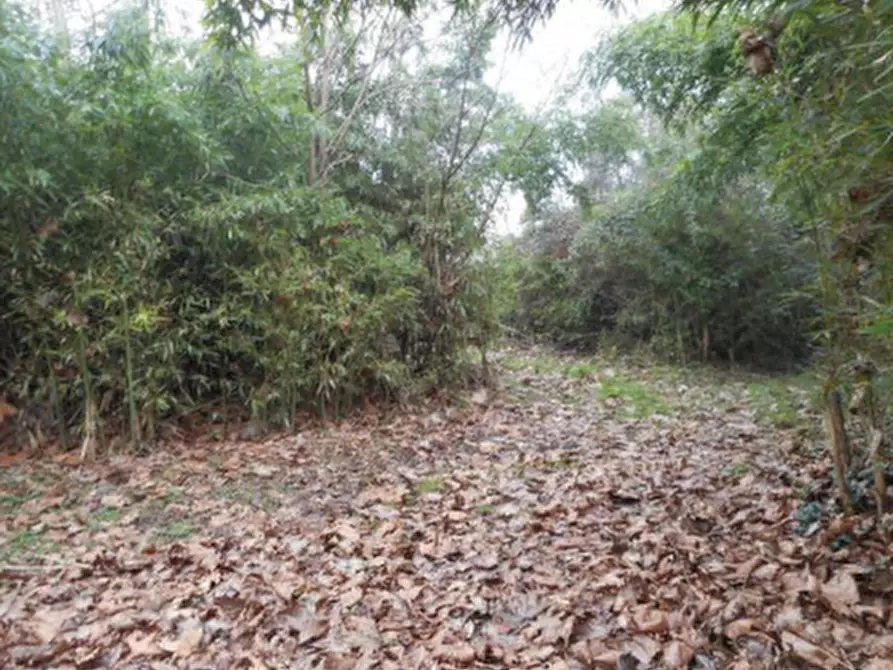 Immagine 7 di Casa indipendente in vendita  in Via Ongarie a Morgano