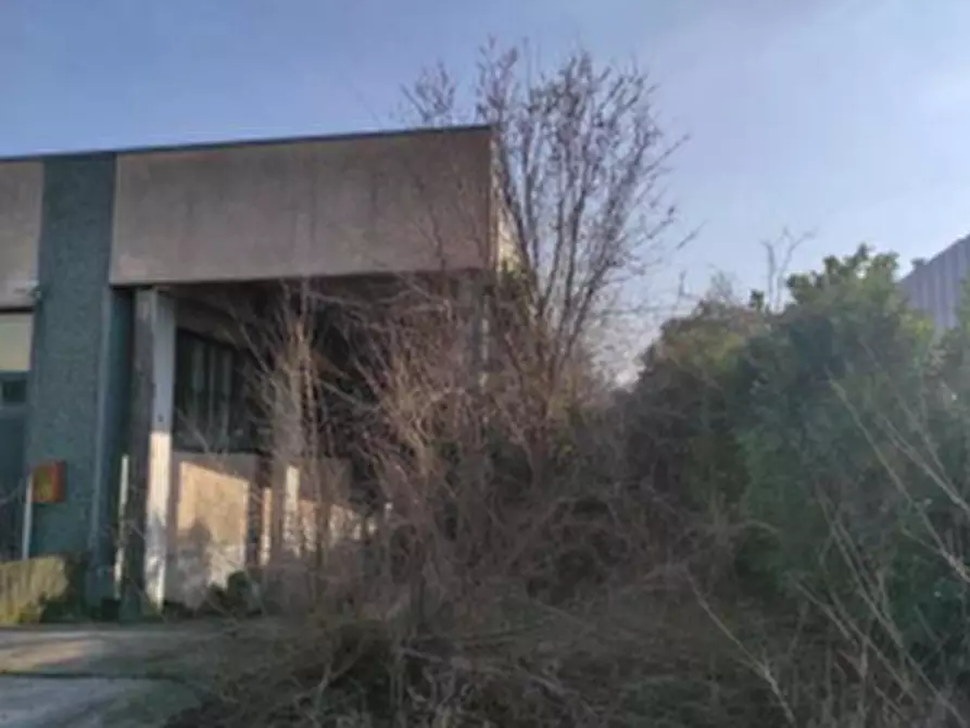 Immagine 3 di Laboratorio in vendita  in Via Thomas Alva Edison a Villorba