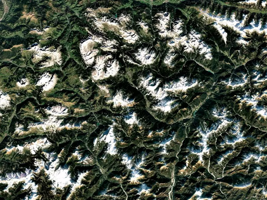 Immagine 3 di Terreno agricolo in vendita  in Via Dogna a Longarone