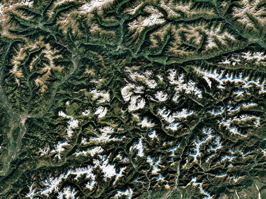 Immagine 4 di Terreno agricolo in vendita  in Via Dogna a Longarone