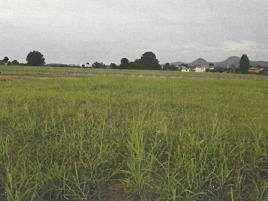 Immagine 1 di Terreno edificabile in vendita  in Via Cà Oddo a Monselice