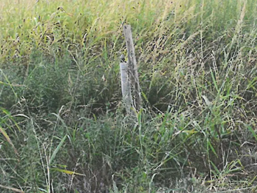 Immagine 7 di Terreno edificabile in vendita  in Via Cà Oddo a Monselice