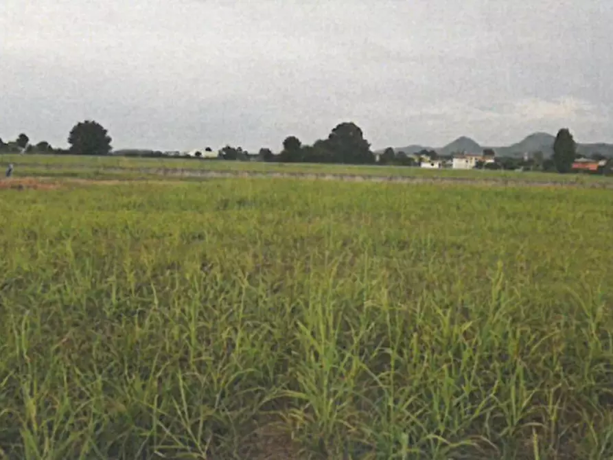 Immagine 4 di Terreno edificabile in vendita  in  via Cà Oddo a Monselice