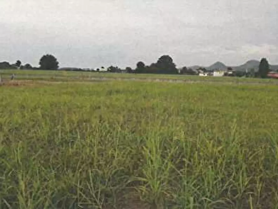 Immagine 7 di Terreno edificabile in vendita  in via Cà Oddo a Monselice