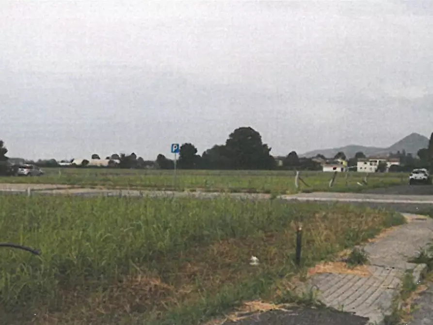 Immagine 5 di Terreno edificabile in vendita  in Via Cà Oddo a Monselice