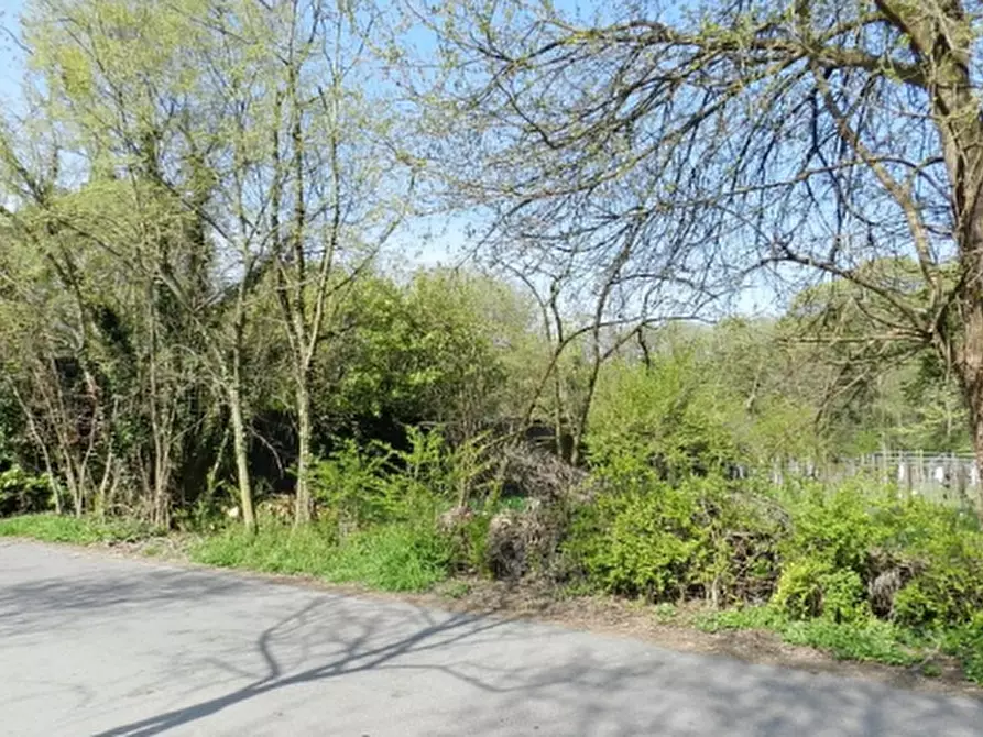 Immagine 2 di Terreno agricolo in vendita  in Via Arnichi a Brembate