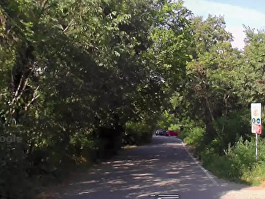 Immagine 3 di Terreno agricolo in vendita  in Via Arnichi a Brembate