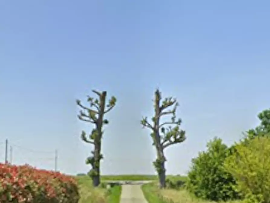 Immagine 9 di Appartamento in vendita  in Via San Salvatore a Medicina