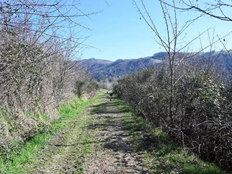 Immagine 9 di Casa indipendente in vendita  in via Zena a Pianoro