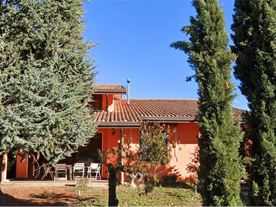 Immagine 4 di Villa in vendita  in via Comelico a Villadose