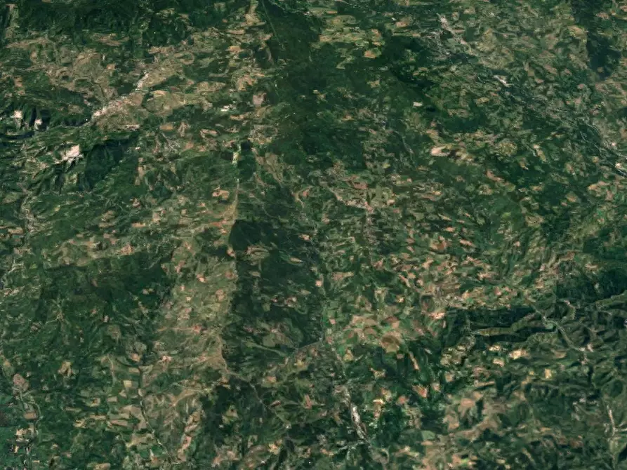 Immagine 16 di Casa indipendente in vendita  in via delle Fragole a Monghidoro