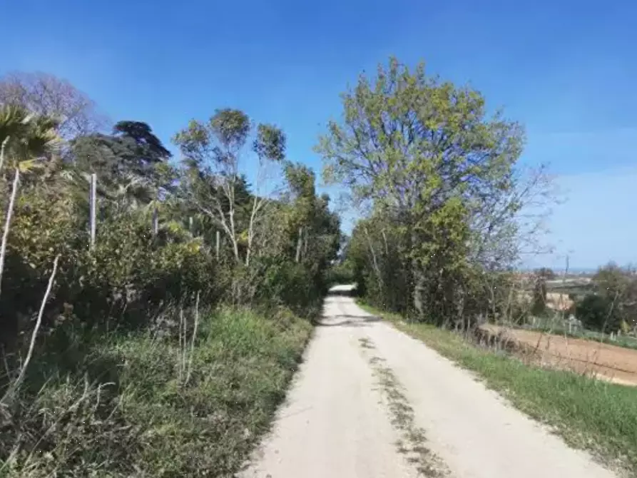 Immagine 2 di Terreno agricolo in vendita  in Strada Molino I a Sant'elpidio A Mare