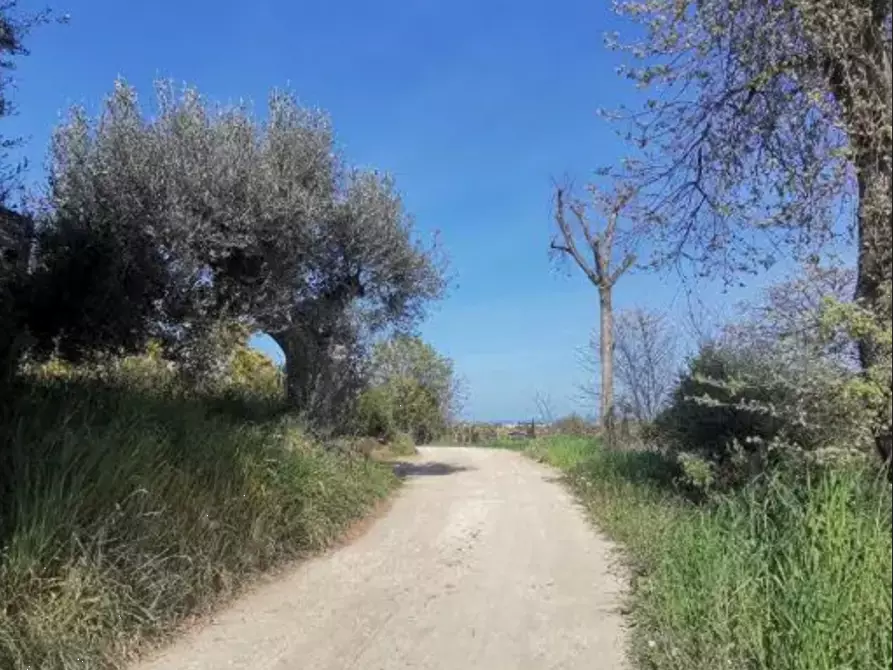 Immagine 1 di Terreno agricolo in vendita  in Strada Molino I a Sant'elpidio A Mare