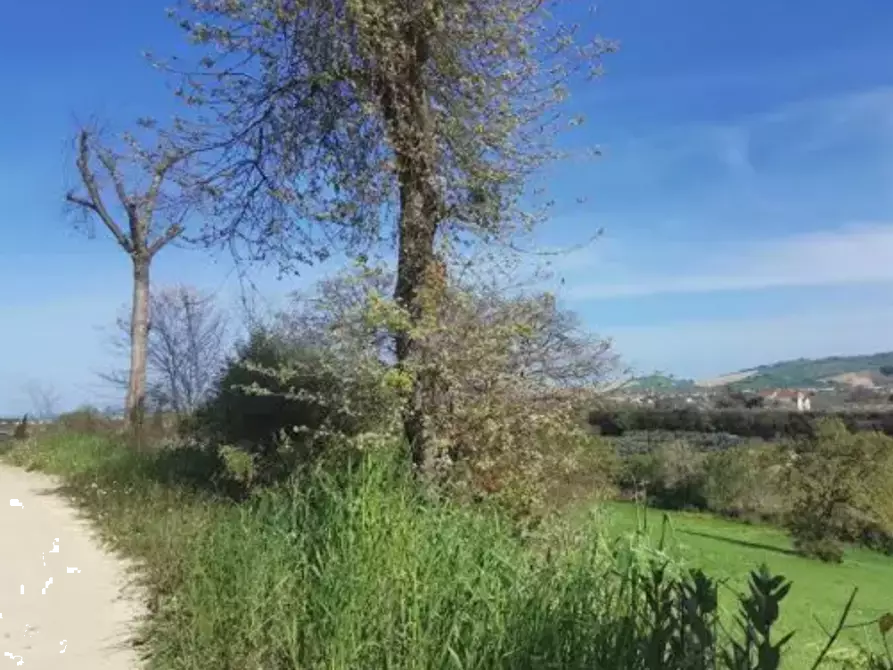 Immagine 3 di Terreno agricolo in vendita  in Strada Molino I a Sant'elpidio A Mare