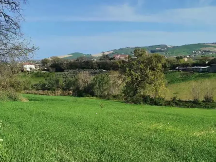 Immagine 4 di Terreno agricolo in vendita  in Strada Molino I a Sant'elpidio A Mare