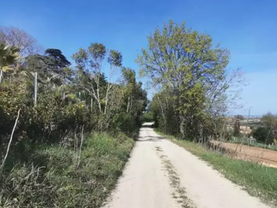 Immagine 5 di Terreno agricolo in vendita  in Strada Molino I a Sant'elpidio A Mare