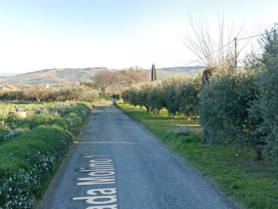 Immagine 6 di Terreno agricolo in vendita  in Strada Molino I a Sant'elpidio A Mare