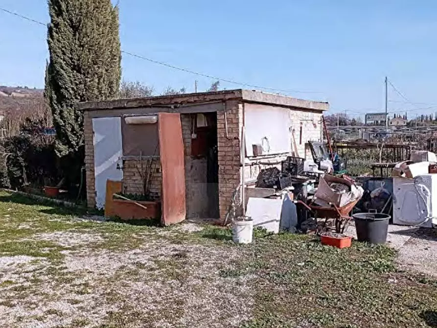 Immagine 3 di Rustico / casale in vendita  in Via Piane a Moresco