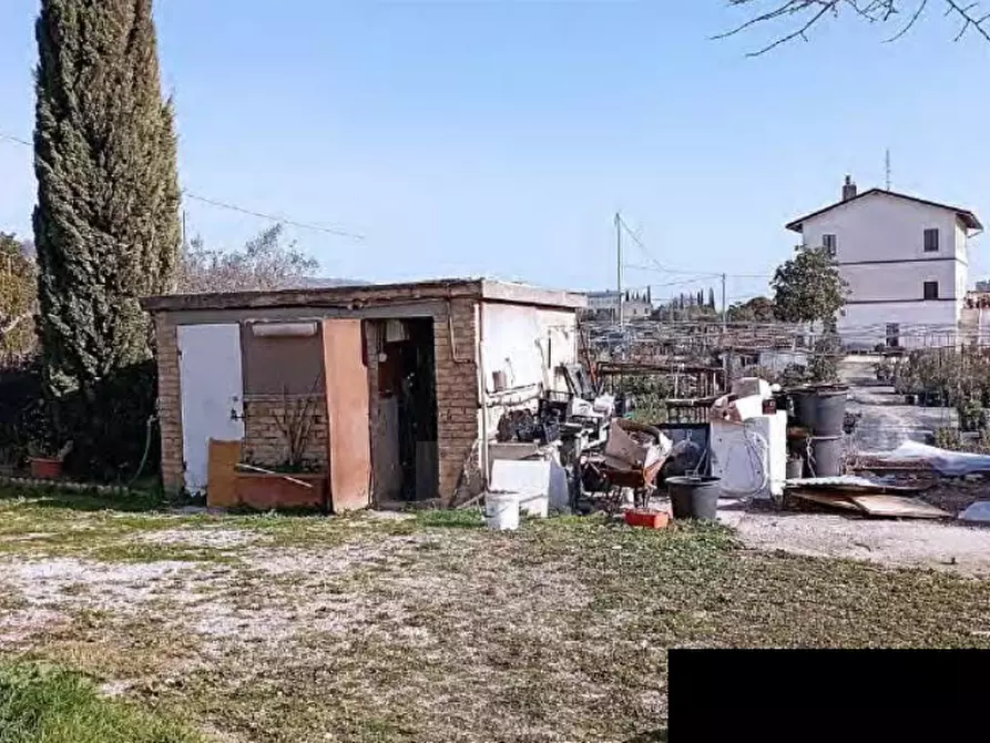 Immagine 4 di Rustico / casale in vendita  in Via Piane a Moresco