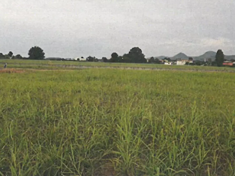 Immagine 3 di Terreno edificabile in vendita  in Via Cà Oddo a Monselice
