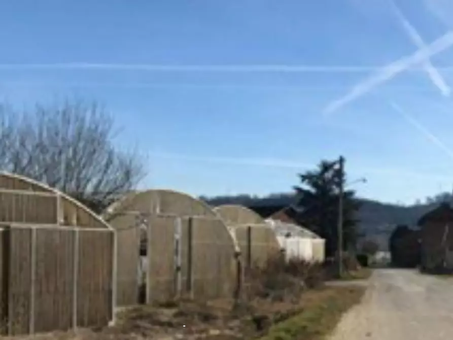 Immagine 3 di Azienda agricola in vendita  in Via Fiera a Isola D'asti
