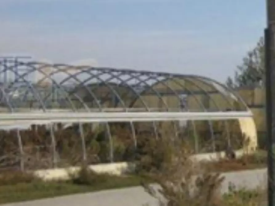 Immagine 5 di Azienda agricola in vendita  in Via Fiera a Isola D'asti