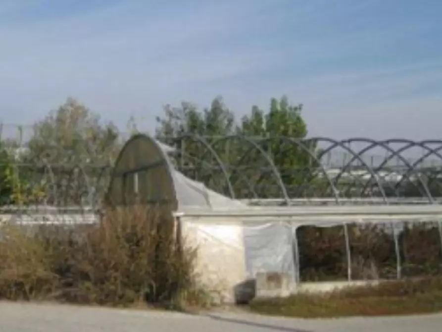 Immagine 6 di Azienda agricola in vendita  in Via Fiera a Isola D'asti