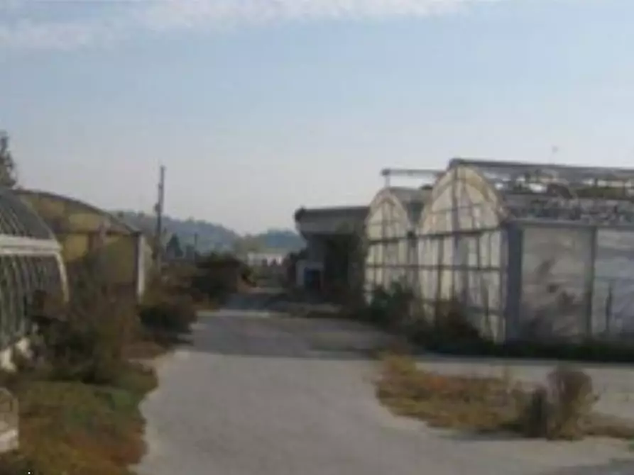 Immagine 7 di Azienda agricola in vendita  in Via Fiera a Isola D'asti