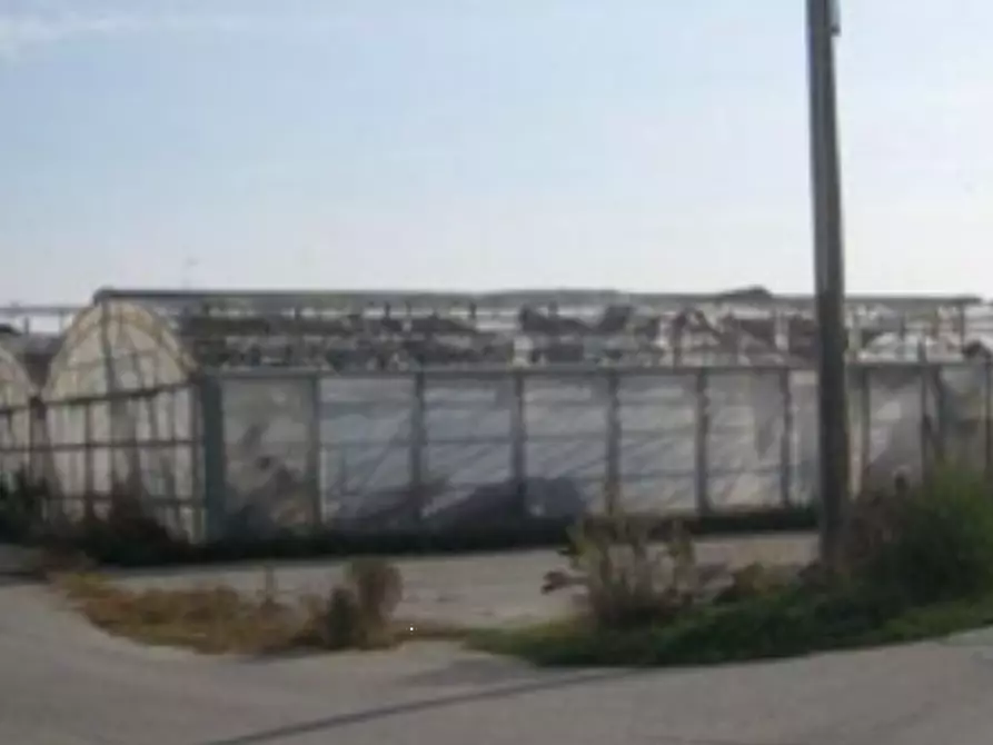 Immagine 8 di Azienda agricola in vendita  in Via Fiera a Isola D'asti