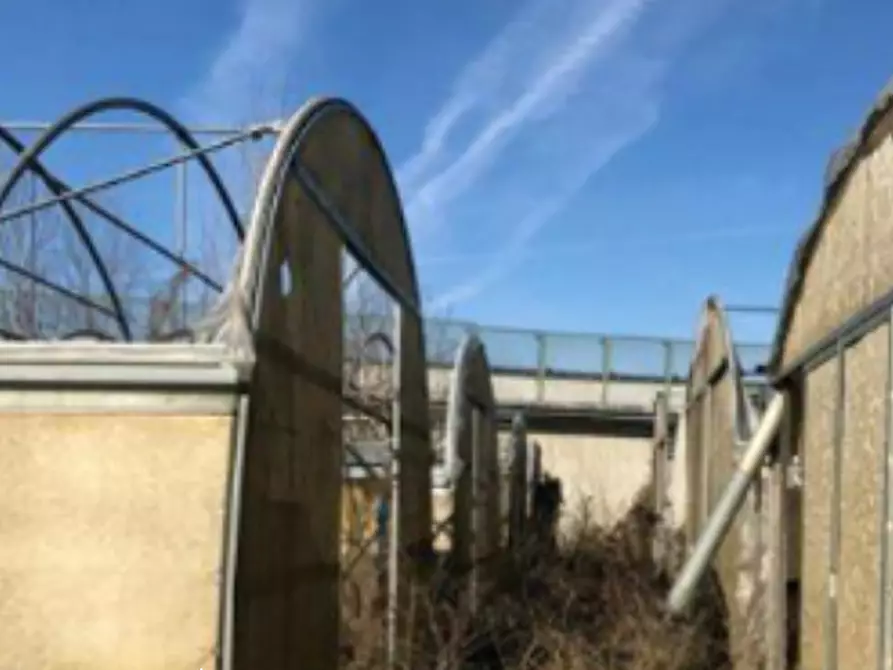 Immagine 9 di Azienda agricola in vendita  in Via Fiera a Isola D'asti