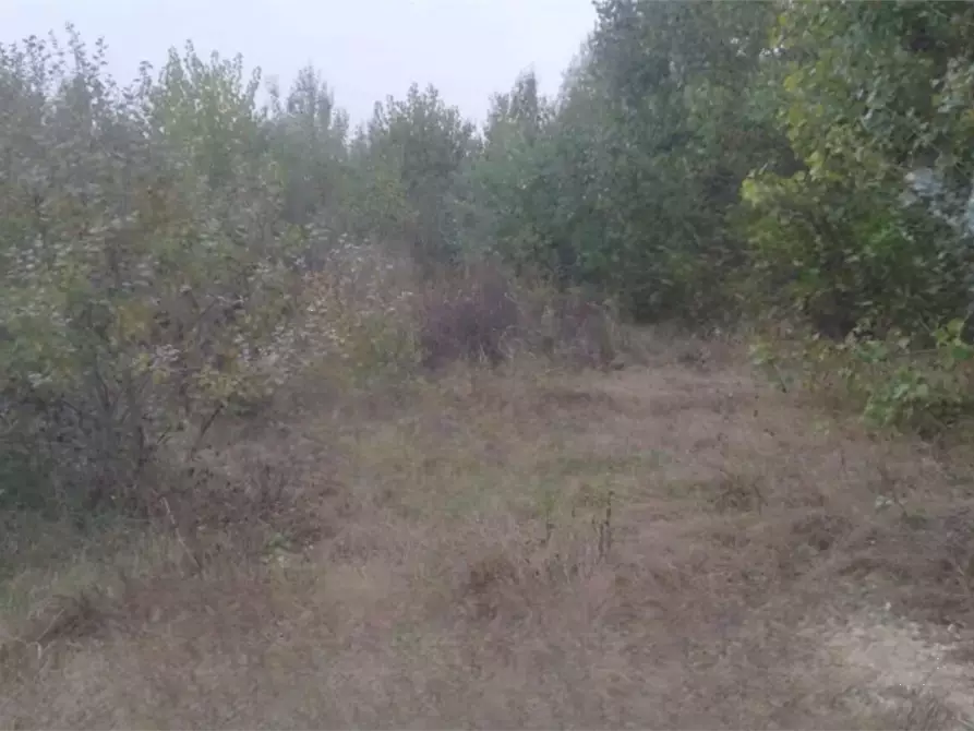 Immagine 1 di Terreno edificabile in vendita  in Località Villafranca d'Asti a Villafranca D'asti