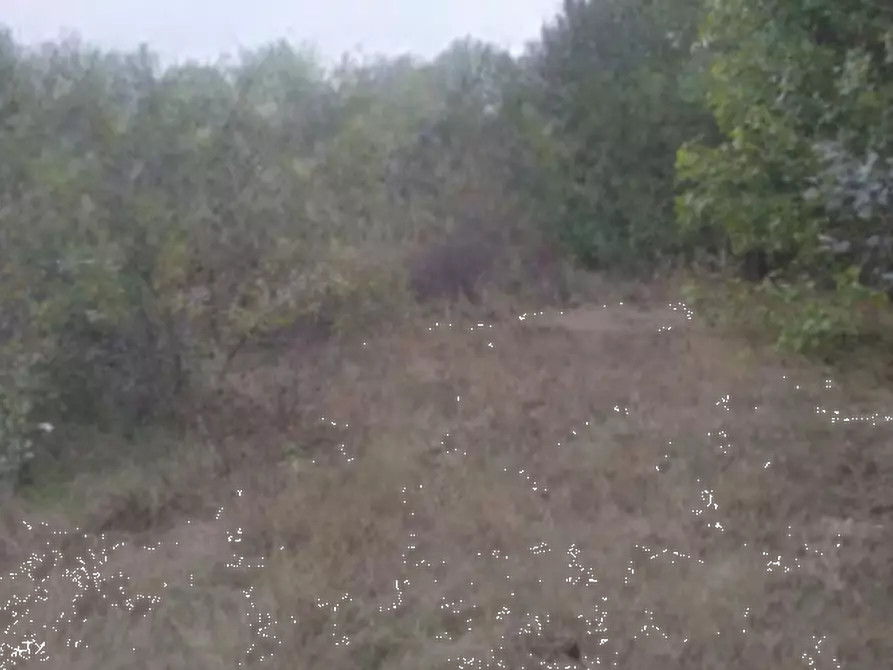 Immagine 2 di Terreno edificabile in vendita  in Località Villafranca d'Asti a Villafranca D'asti