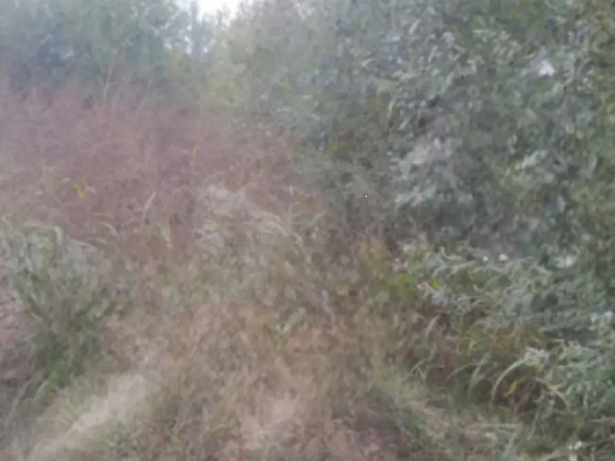 Immagine 5 di Terreno edificabile in vendita  in Località Villafranca d'Asti a Villafranca D'asti