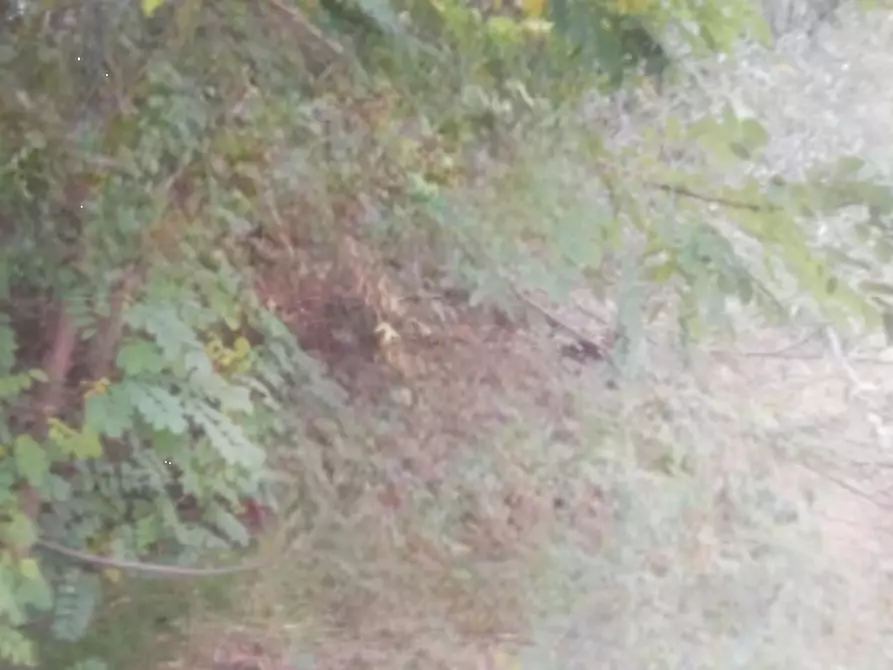 Immagine 6 di Terreno edificabile in vendita  in Località Villafranca d'Asti a Villafranca D'asti