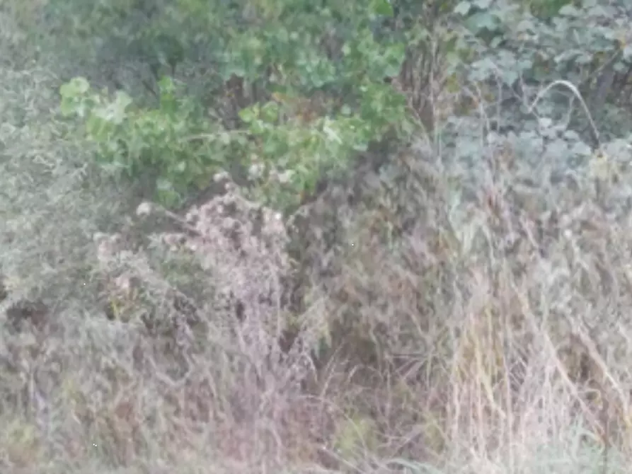 Immagine 7 di Terreno edificabile in vendita  in Località Villafranca d'Asti a Villafranca D'asti