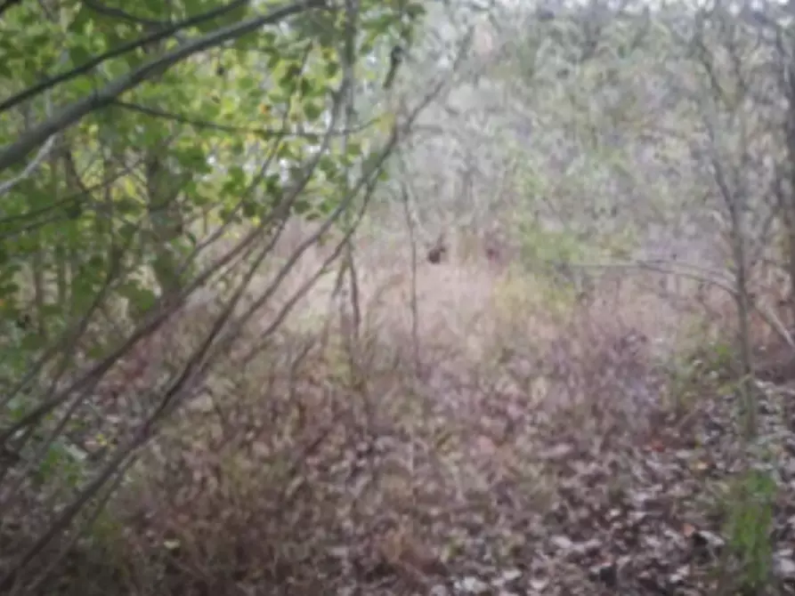 Immagine 10 di Terreno edificabile in vendita  in Località Villafranca d'Asti a Villafranca D'asti