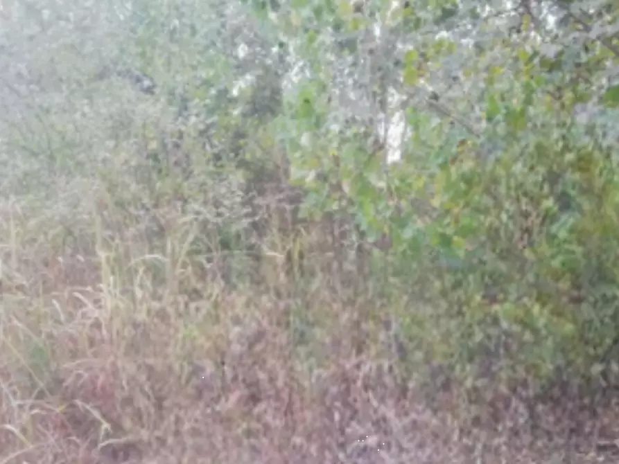 Immagine 11 di Terreno edificabile in vendita  in Località Villafranca d'Asti a Villafranca D'asti