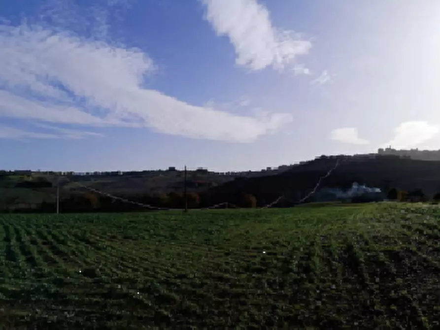 Immagine 1 di Terreno agricolo in vendita  in Contrada Guazzetti  a Montegranaro