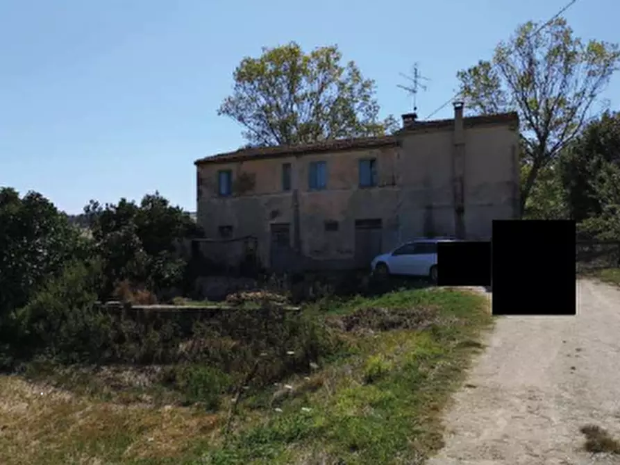 Immagine 2 di Terreno agricolo in vendita  in Contrada Guazzetti  a Montegranaro