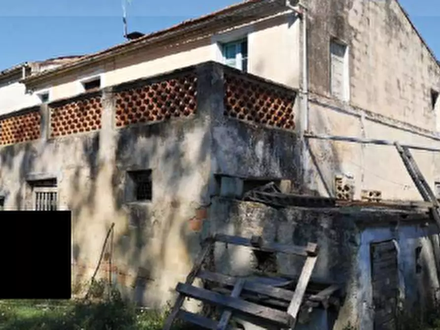 Immagine 4 di Terreno agricolo in vendita  in Contrada Guazzetti  a Montegranaro