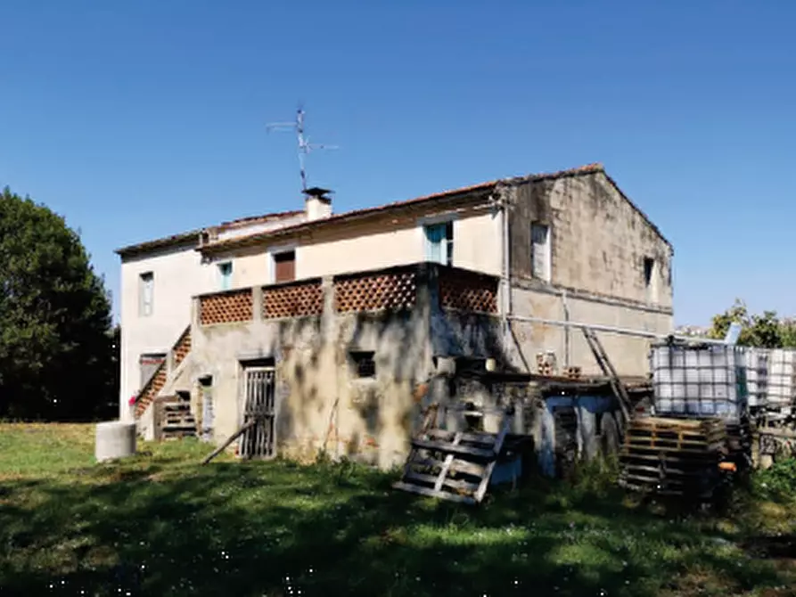 Immagine 5 di Terreno agricolo in vendita  in Contrada Guazzetti  a Montegranaro