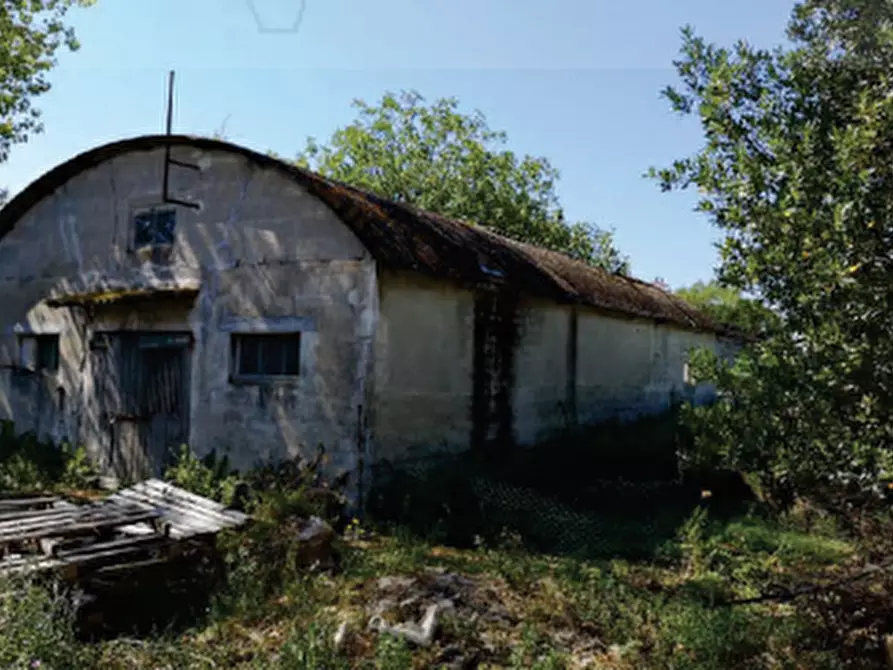 Immagine 7 di Terreno agricolo in vendita  in Contrada Guazzetti  a Montegranaro