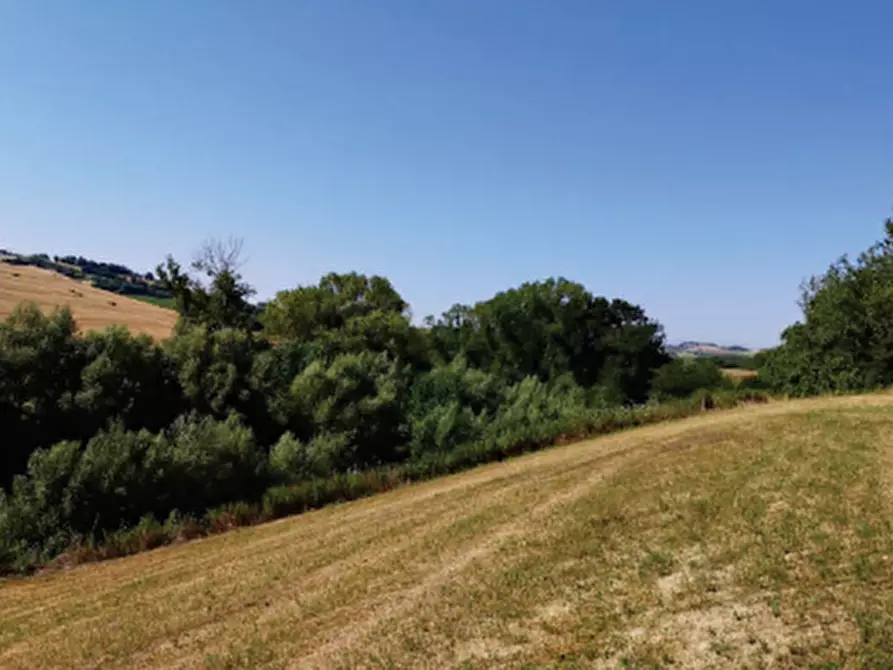 Immagine 9 di Terreno agricolo in vendita  in Contrada Guazzetti  a Montegranaro