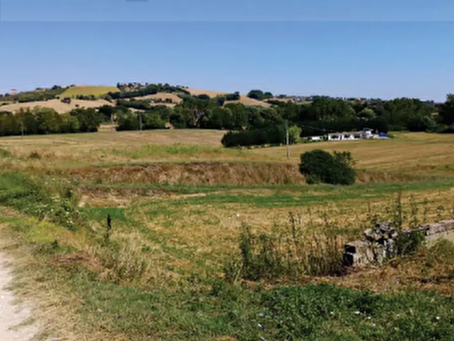 Immagine 10 di Terreno agricolo in vendita  in Contrada Guazzetti  a Montegranaro