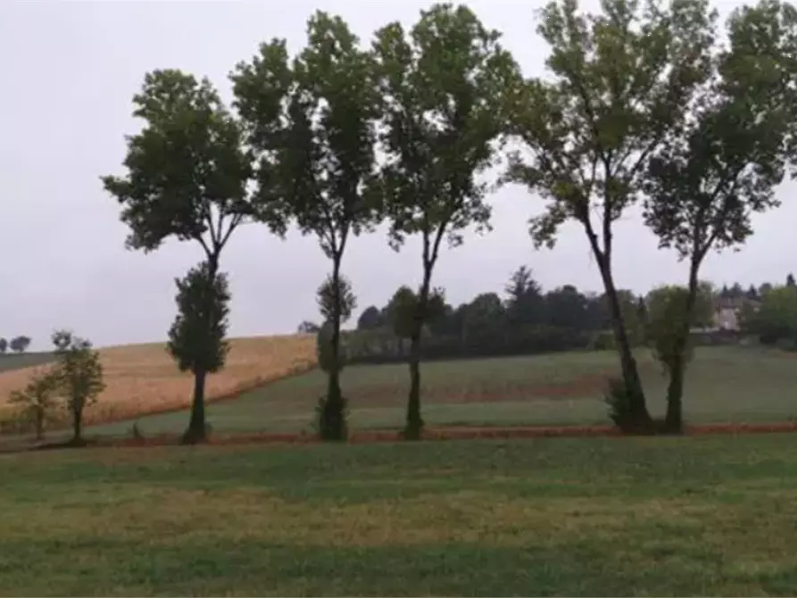 Immagine 1 di Terreno edificabile in vendita  in Strada Vicinale del Castellino a Alessandria