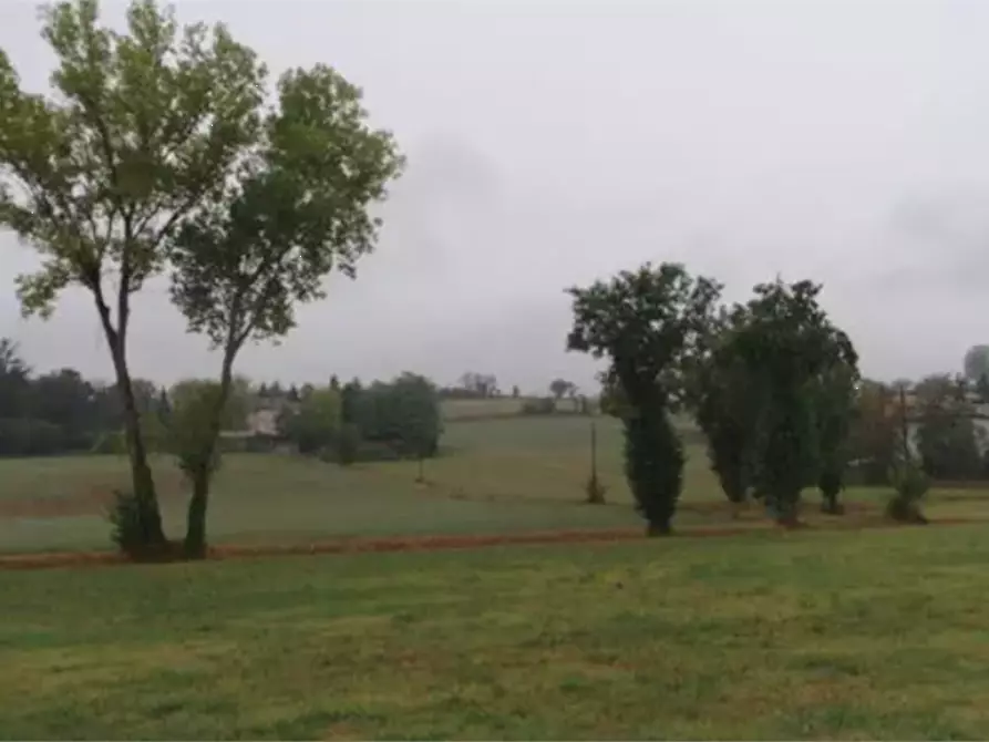 Immagine 2 di Terreno edificabile in vendita  in Strada Vicinale del Castellino a Alessandria